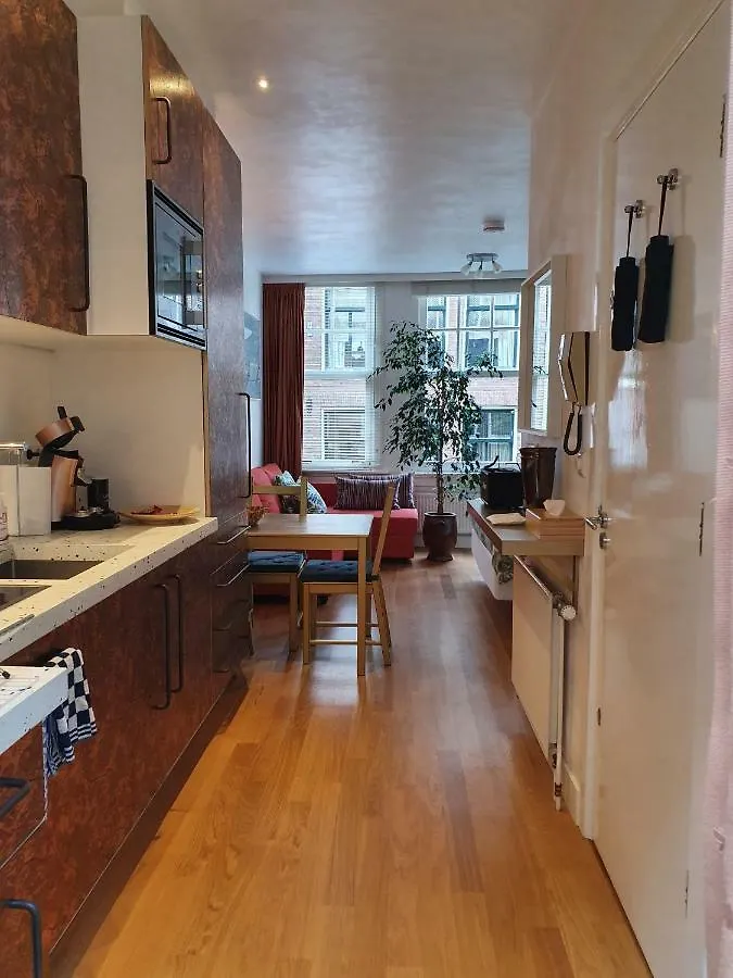Huis Roomolen Amsterdam Apartment